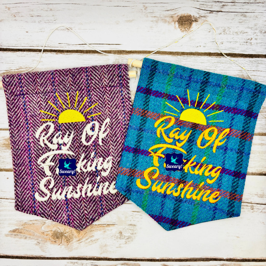 Ray of f’ing sunshine - Pennant Wall Hanging
