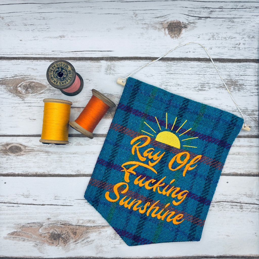Ray of f’ing sunshine - Pennant Wall Hanging