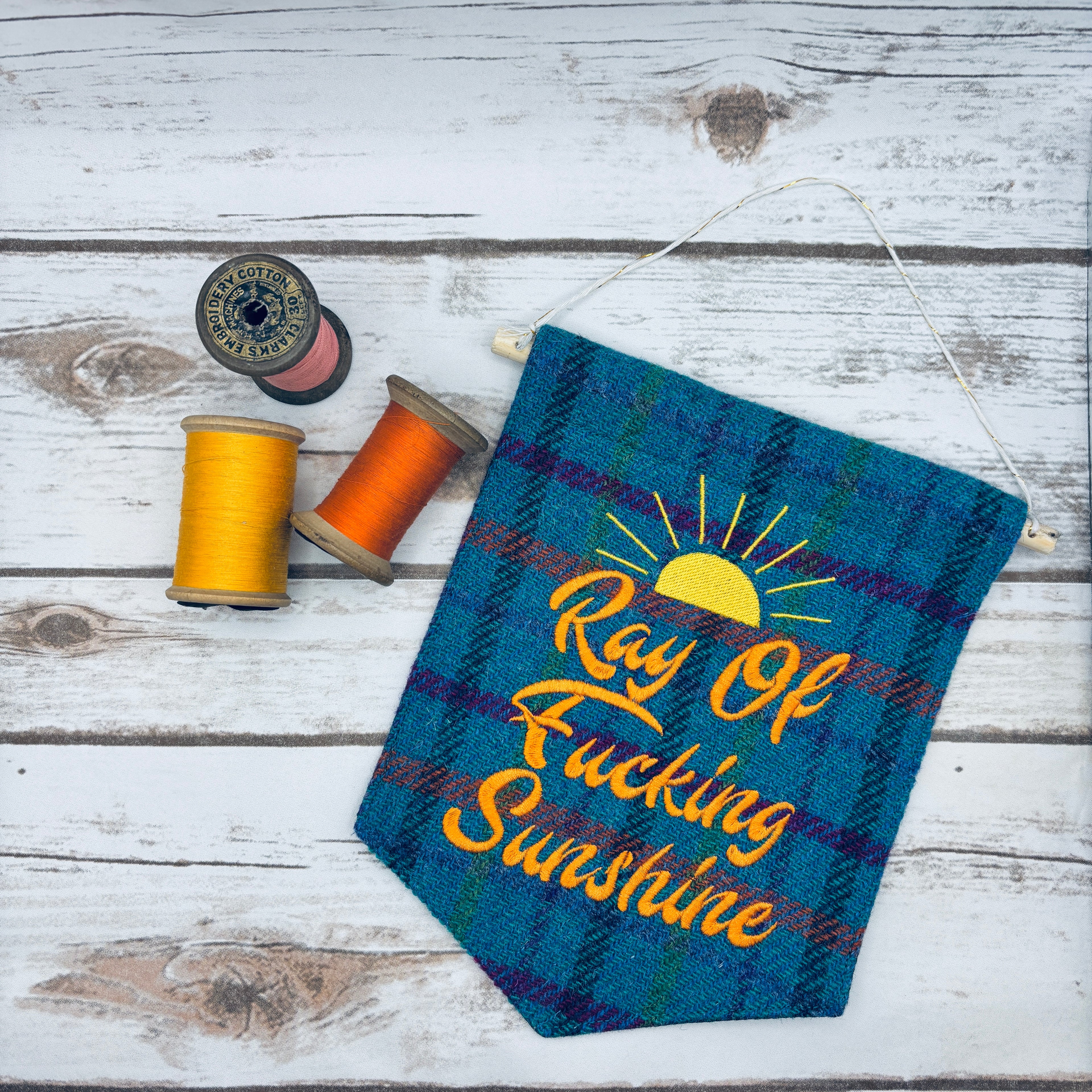 Ray of f’ing sunshine - Pennant Wall Hanging