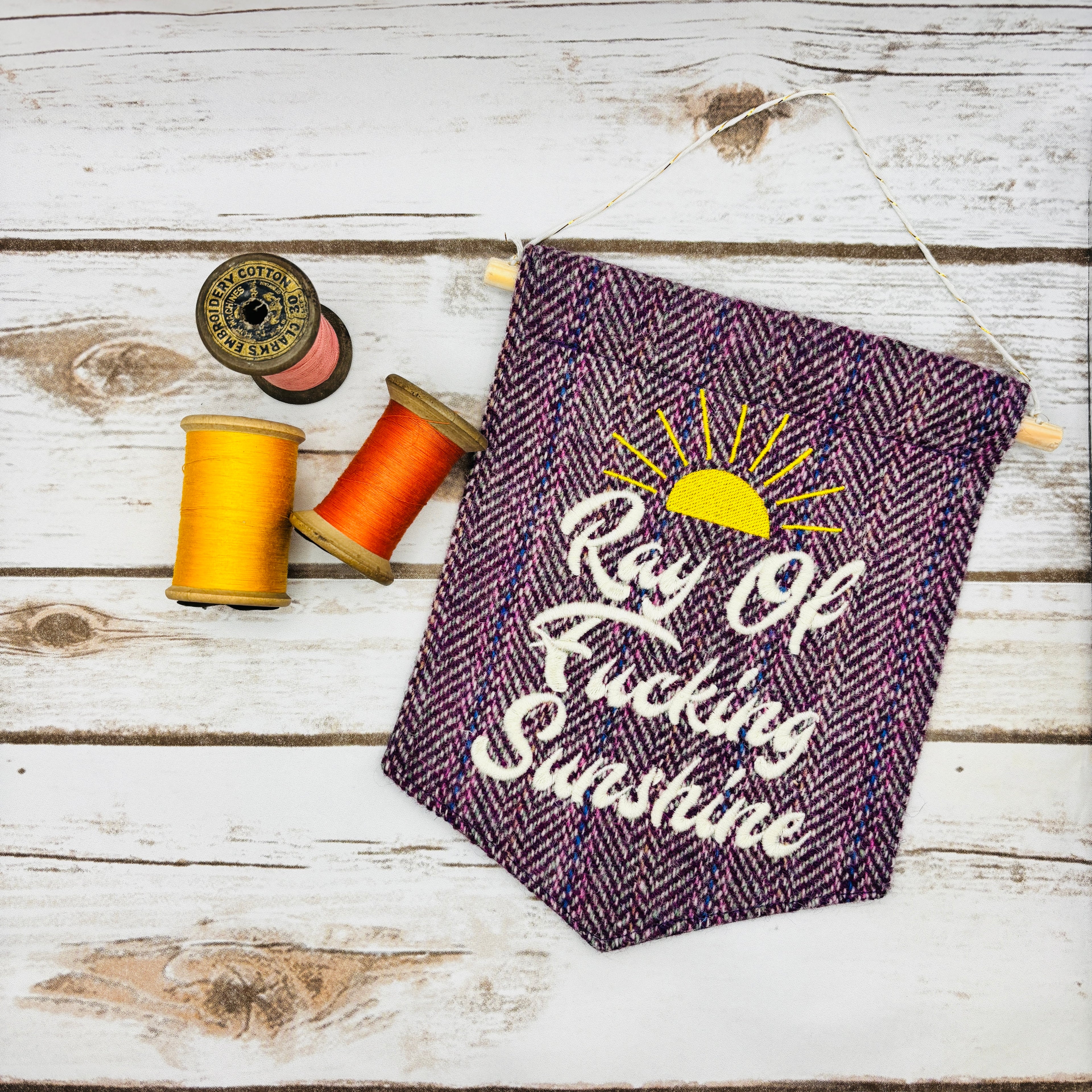 Ray of f’ing sunshine - Pennant Wall Hanging