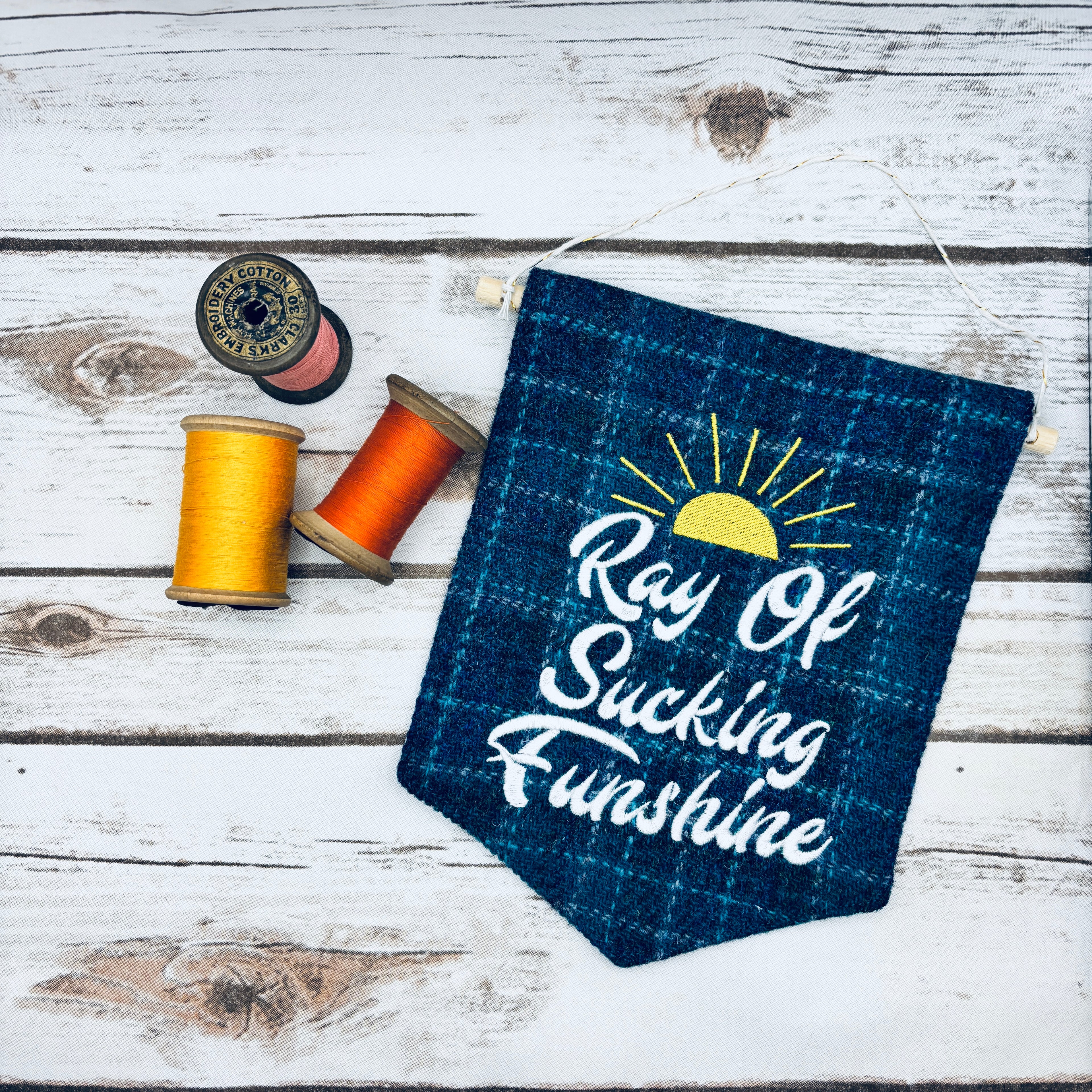 Ray of Sucking Funshine - Pennant Wall Hanging