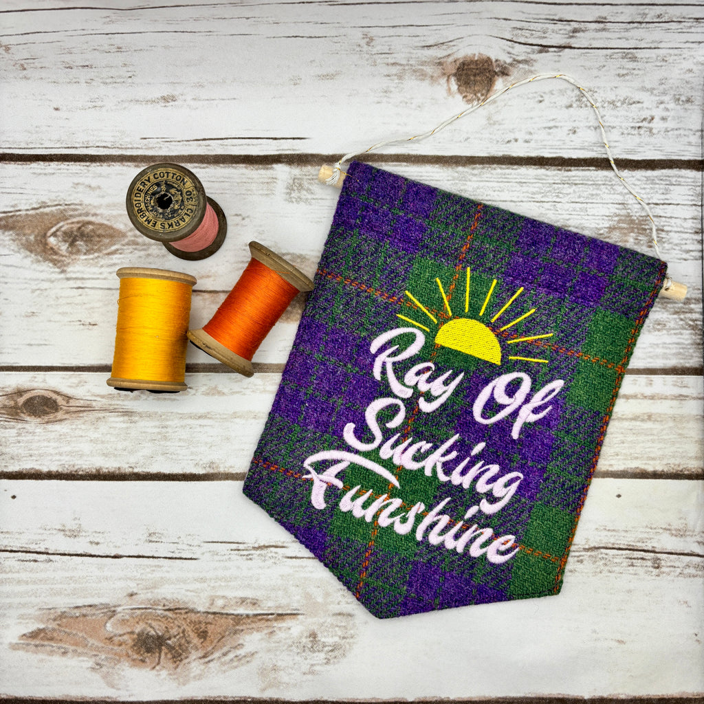 Ray of Sucking Funshine - Pennant Wall Hanging