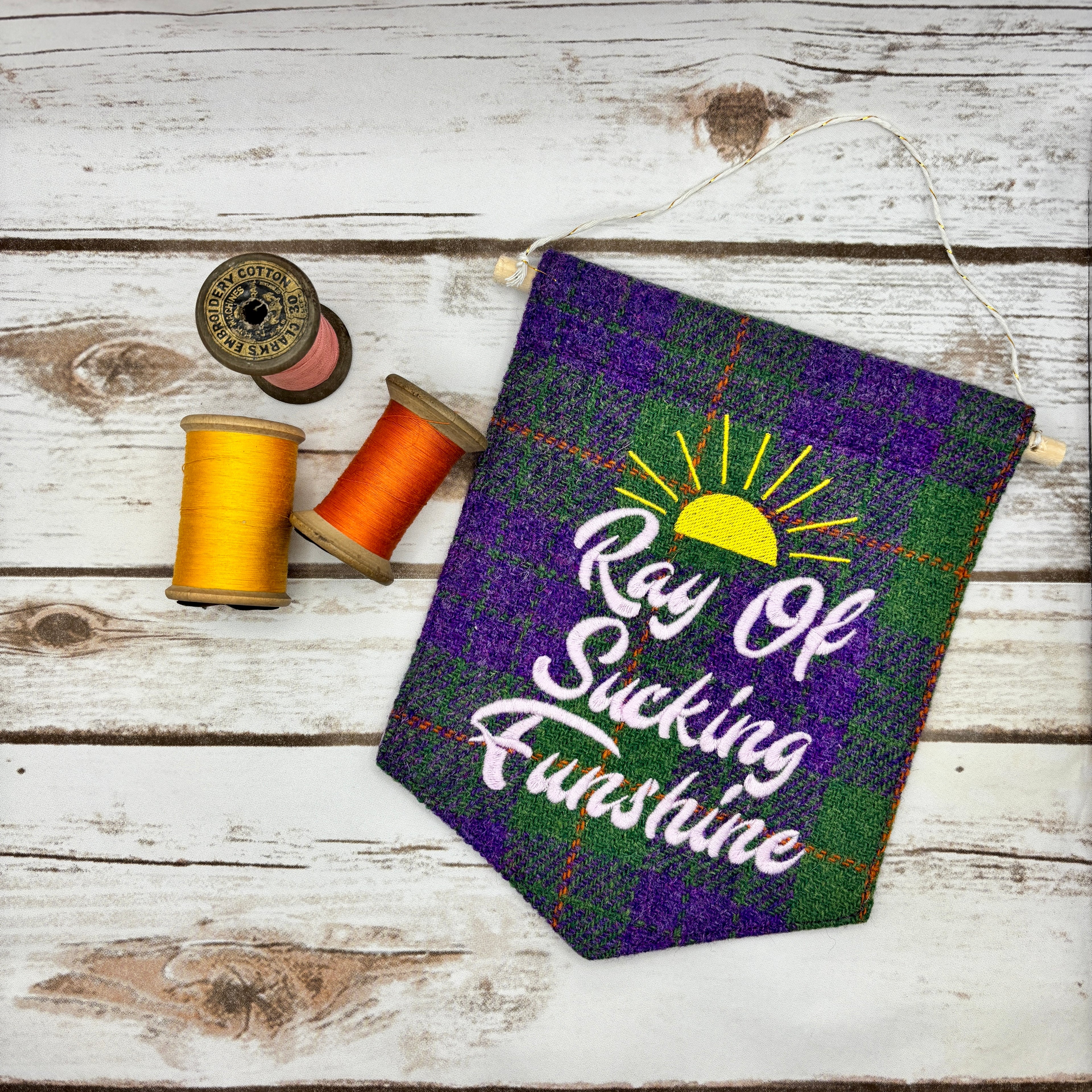 Ray of Sucking Funshine - Pennant Wall Hanging