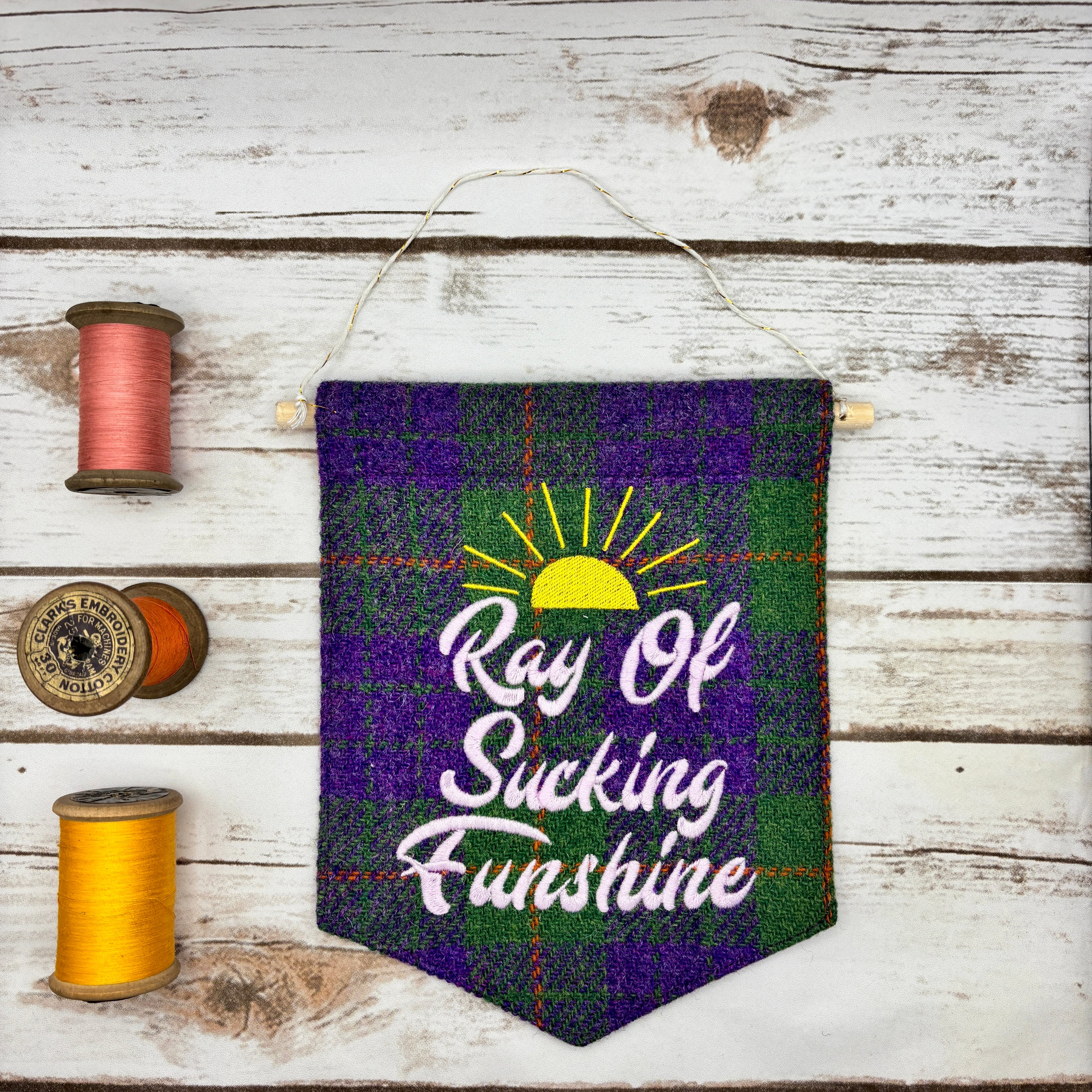 Ray of Sucking Funshine - Pennant Wall Hanging