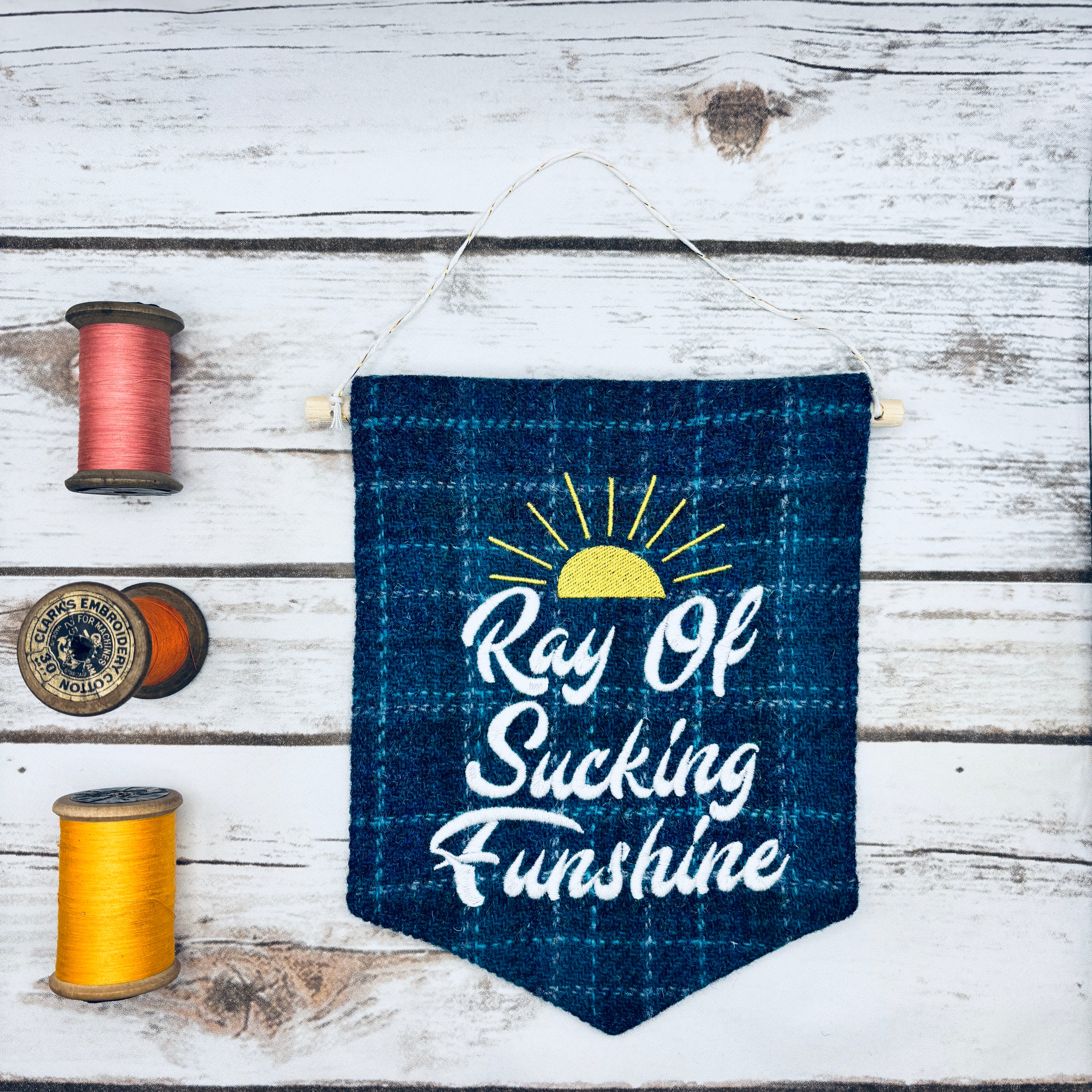 Ray of Sucking Funshine - Pennant Wall Hanging