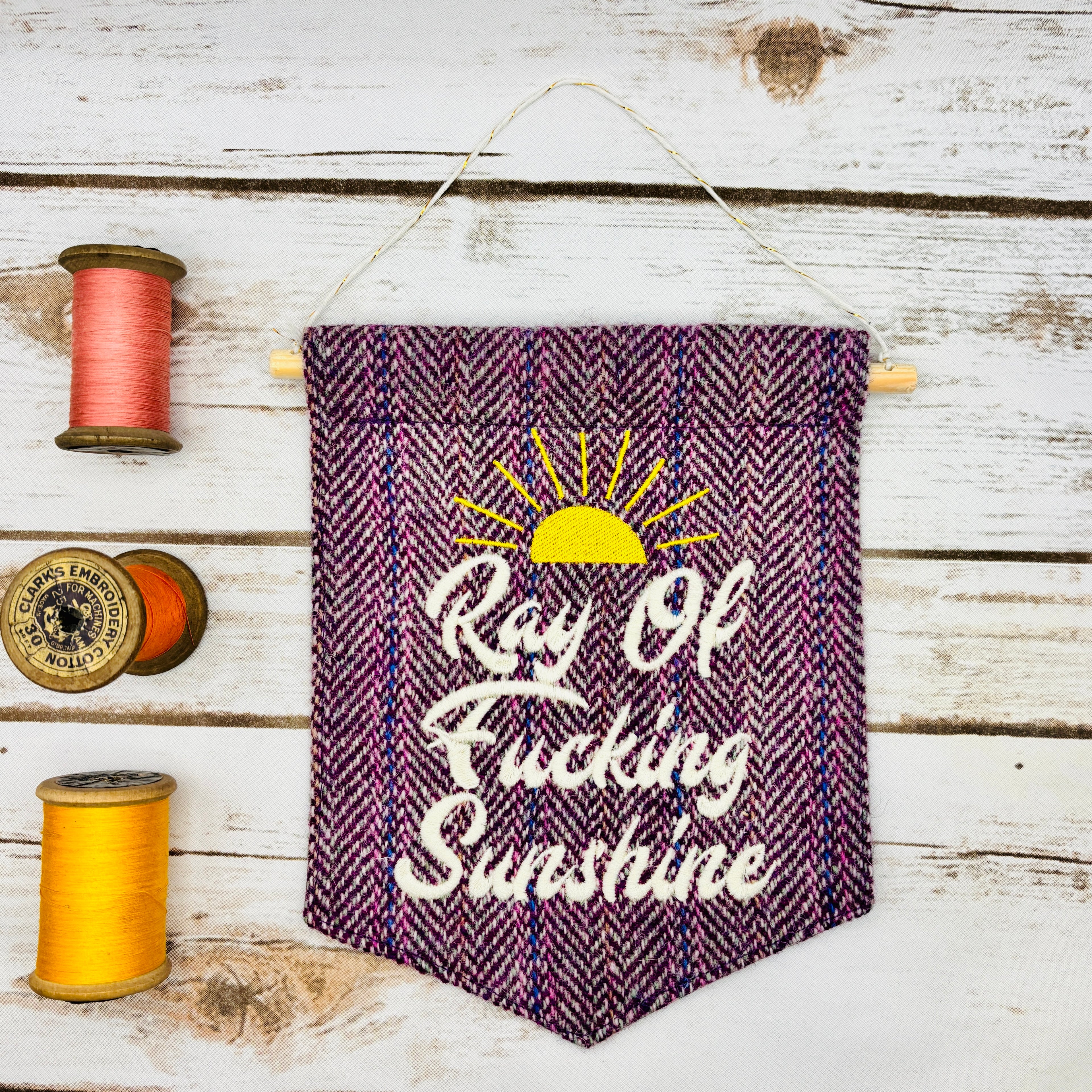 Ray of f’ing sunshine - Pennant Wall Hanging