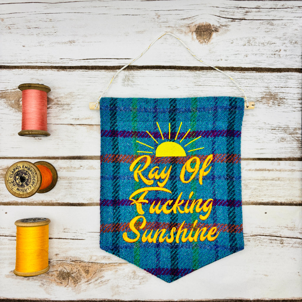 Ray of f’ing sunshine - Pennant Wall Hanging