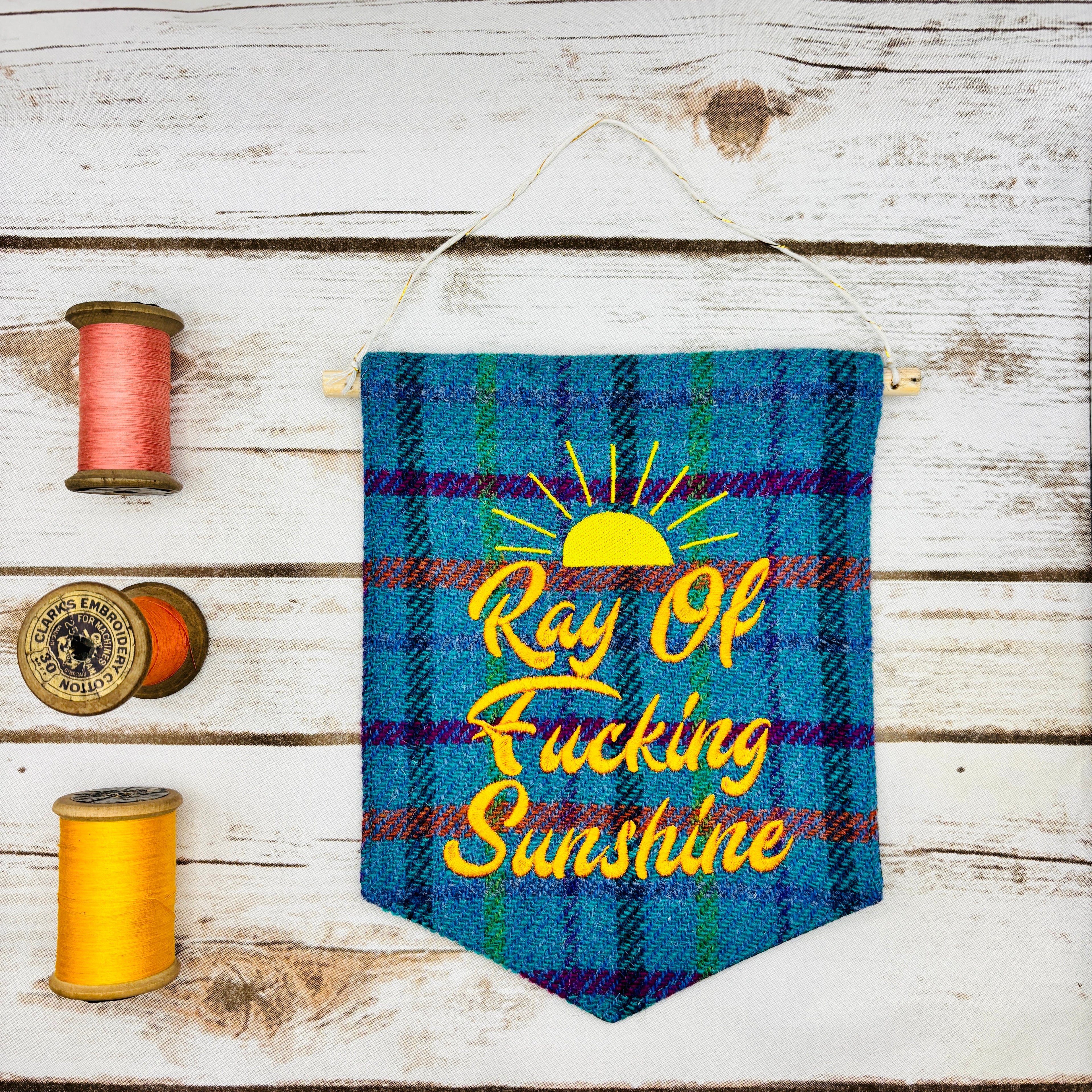 Ray of f’ing sunshine - Pennant Wall Hanging