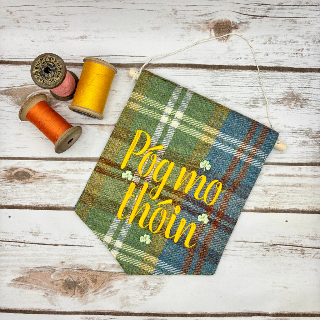 Póg Mo Thóin - Kiss my a$$- Irish Pennant Wall Hanging