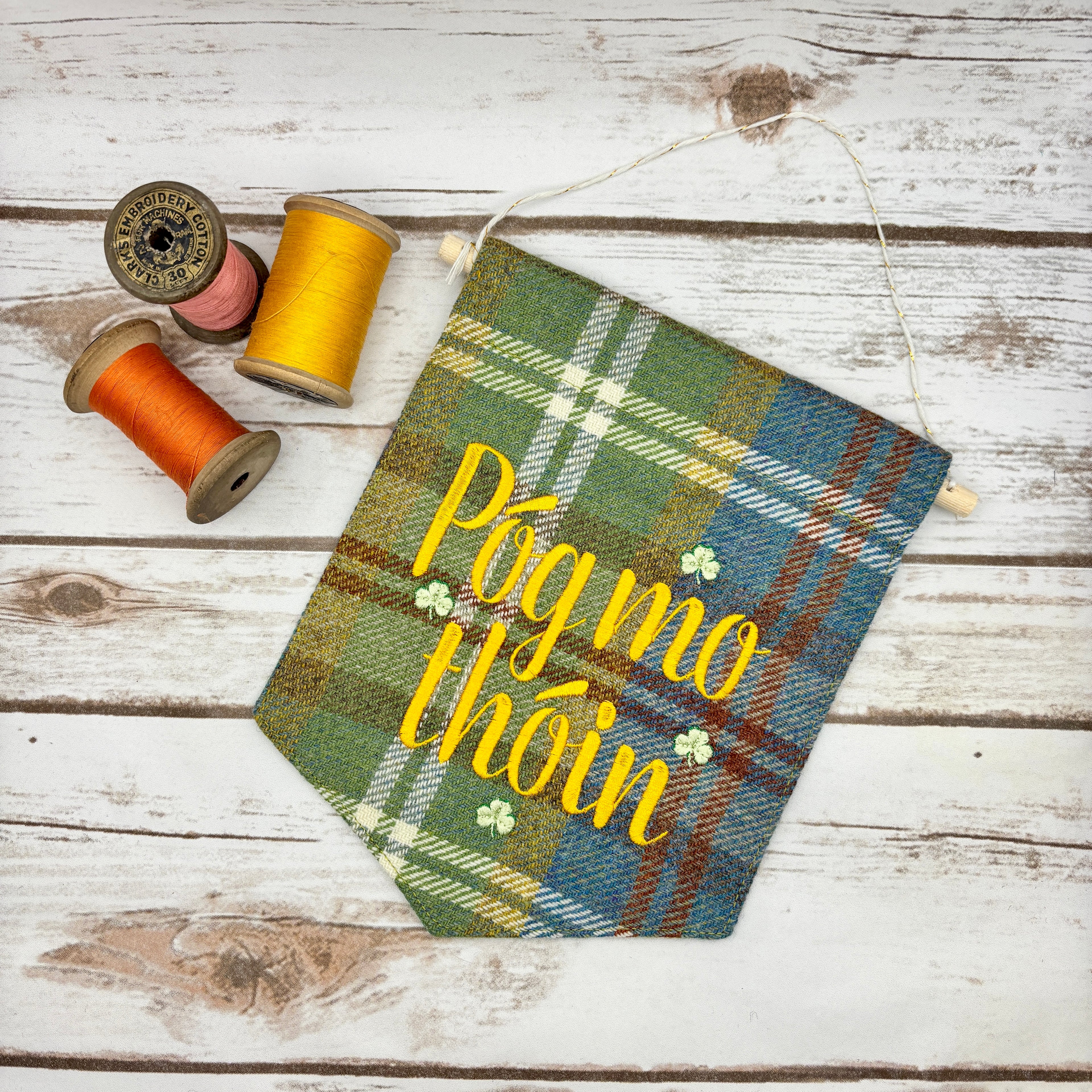 Póg Mo Thóin - Kiss my a$$- Irish Pennant Wall Hanging