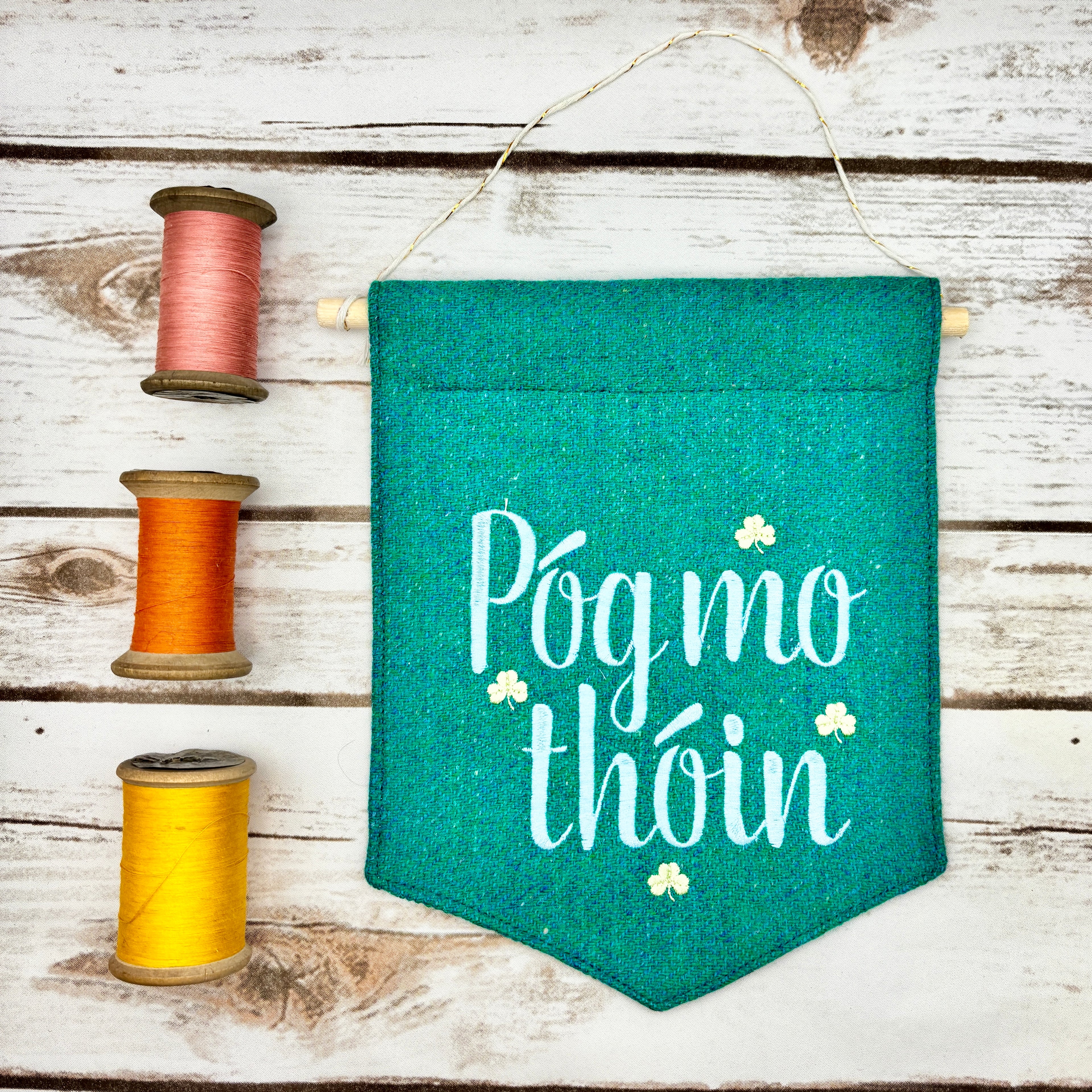 Póg Mo Thóin - Kiss my a$$- Irish Pennant Wall Hanging