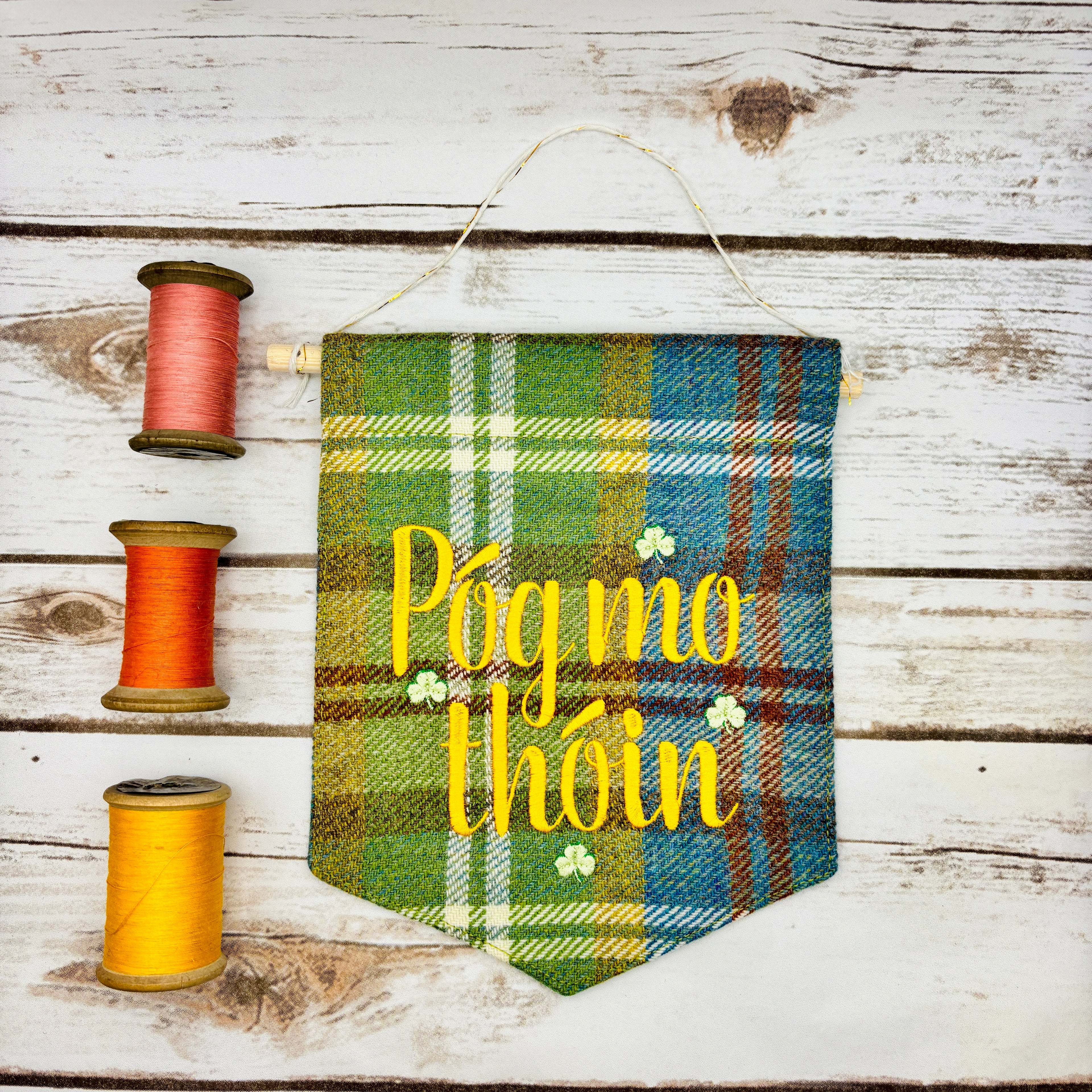 Póg Mo Thóin - Kiss my a$$- Irish Pennant Wall Hanging
