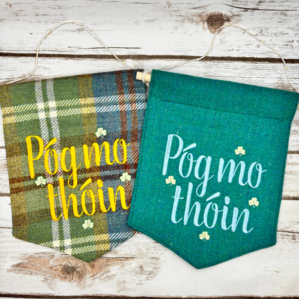 Póg Mo Thóin - Kiss my a$$- Irish Pennant Wall Hanging