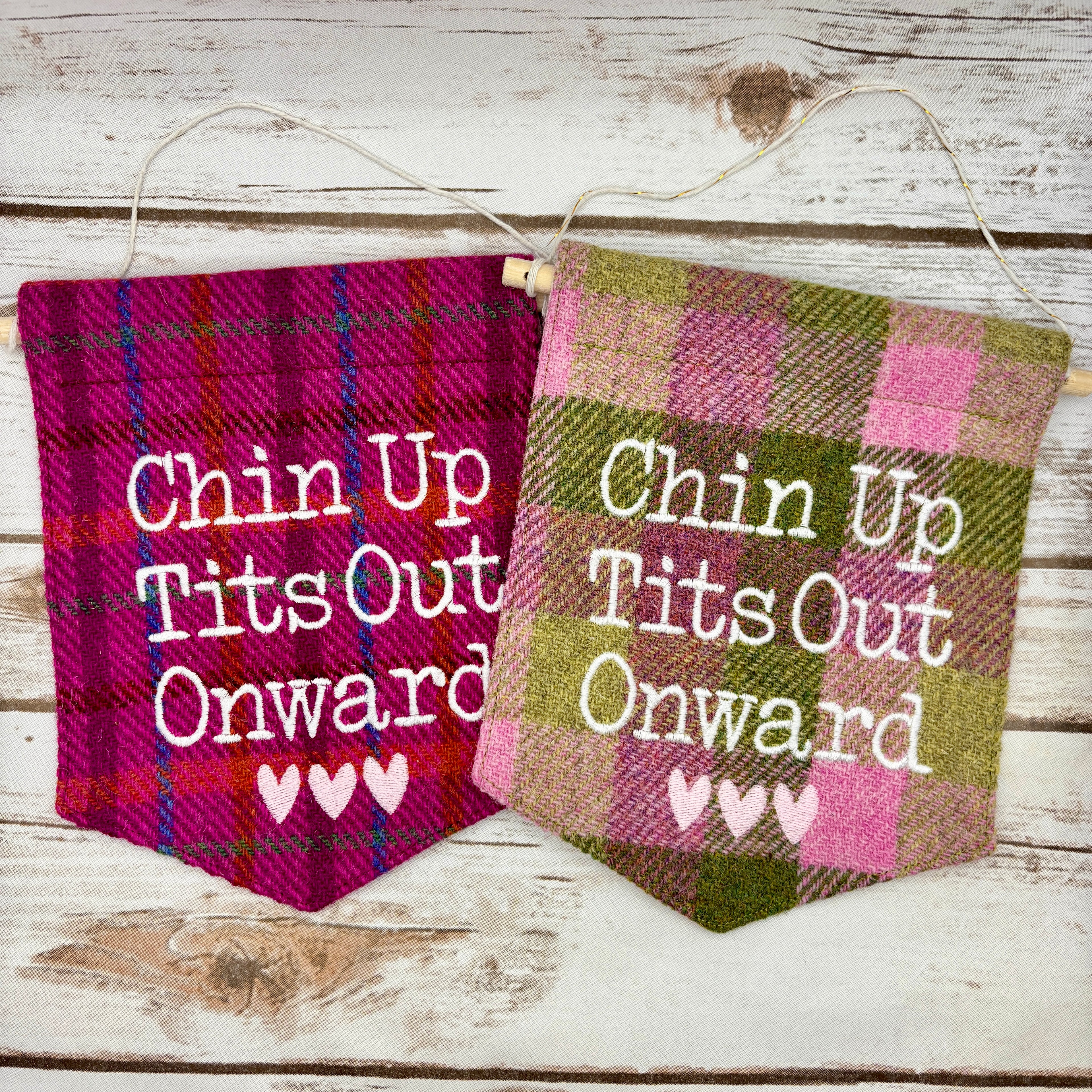 Chin Up. Tits Out. Onward. - Pennant Wall Hanging