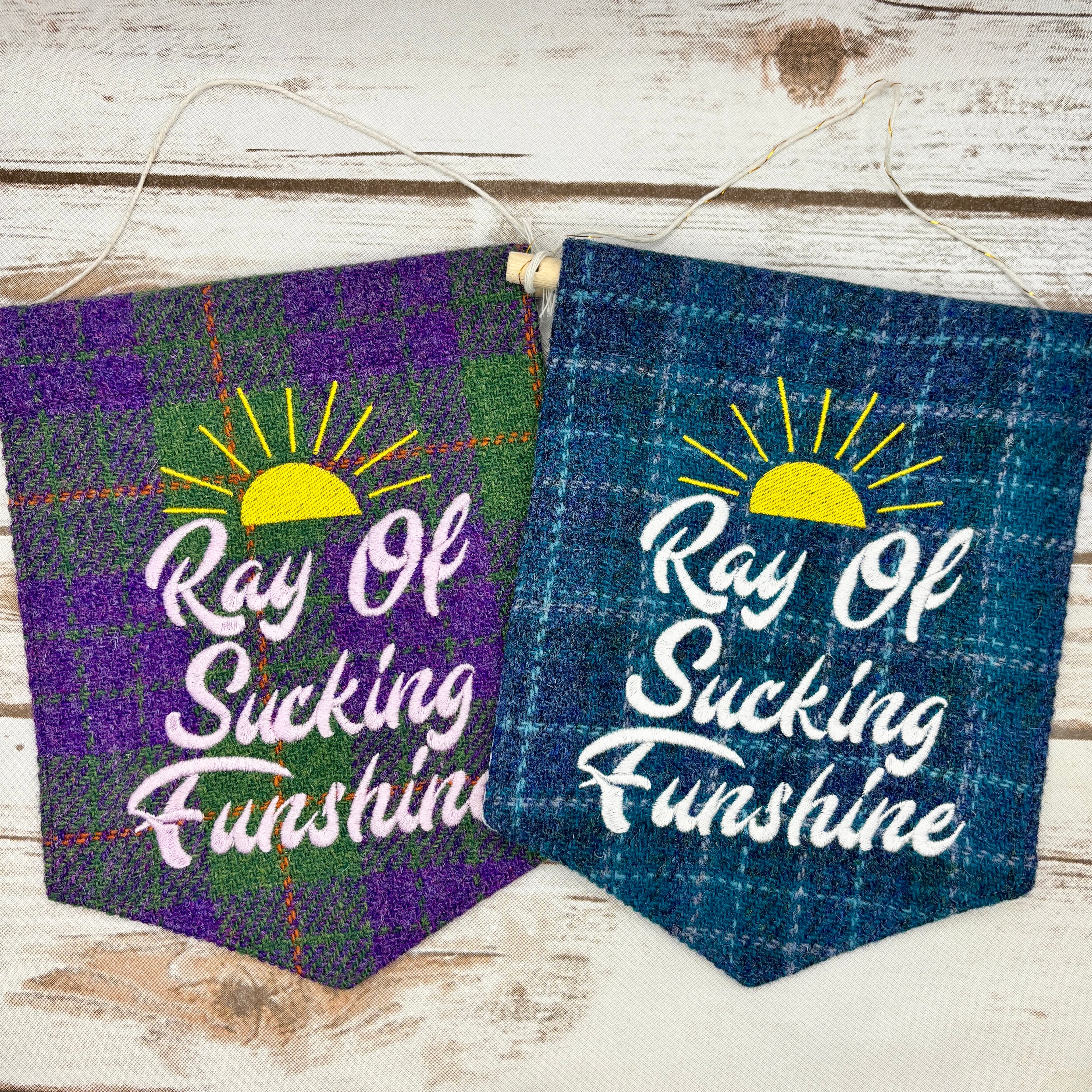 Ray of Sucking Funshine - Pennant Wall Hanging