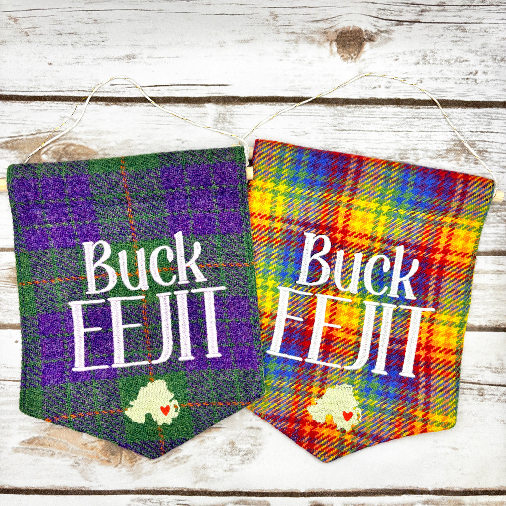Buck Eejit - Pennant Wall Hanging