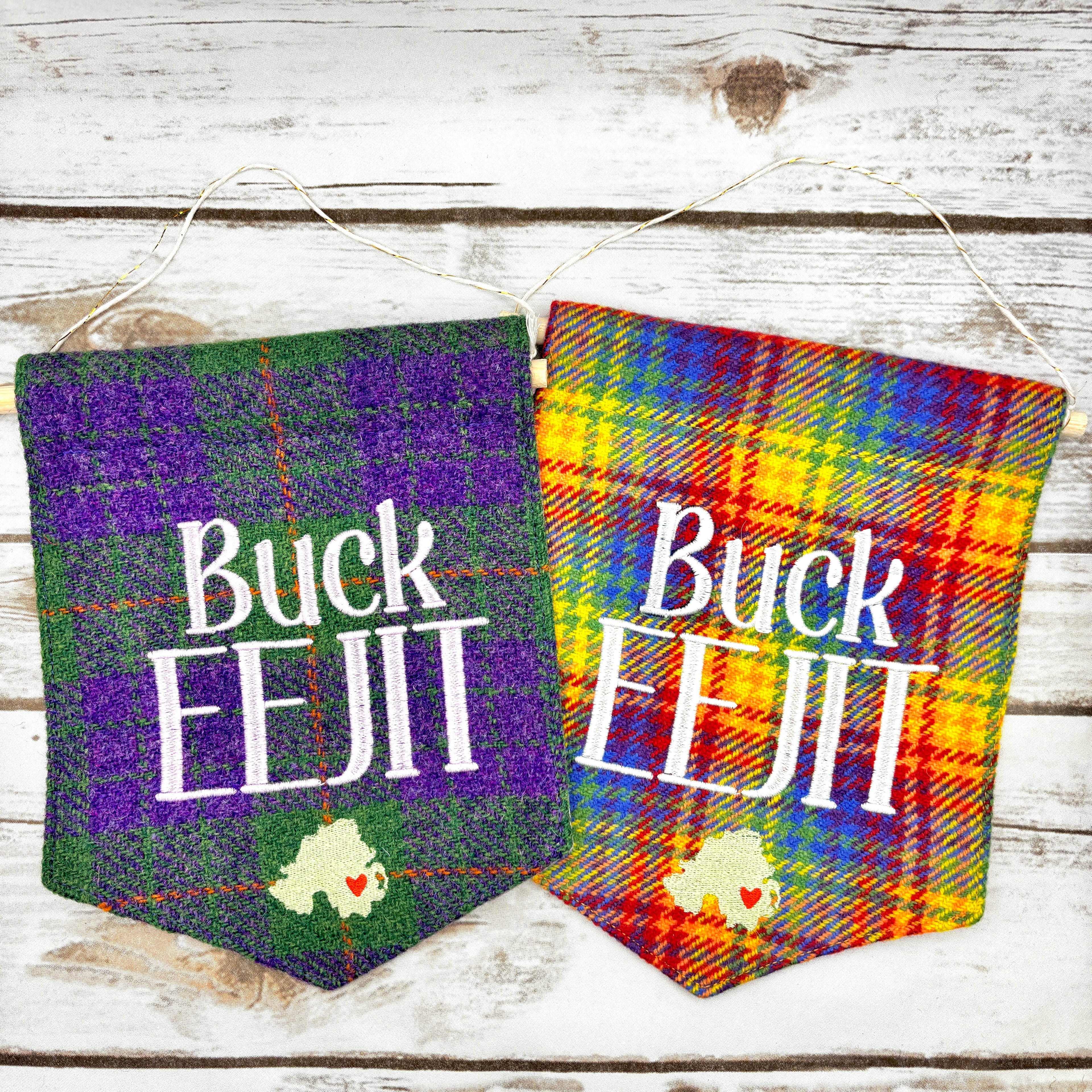Buck Eejit - Pennant Wall Hanging