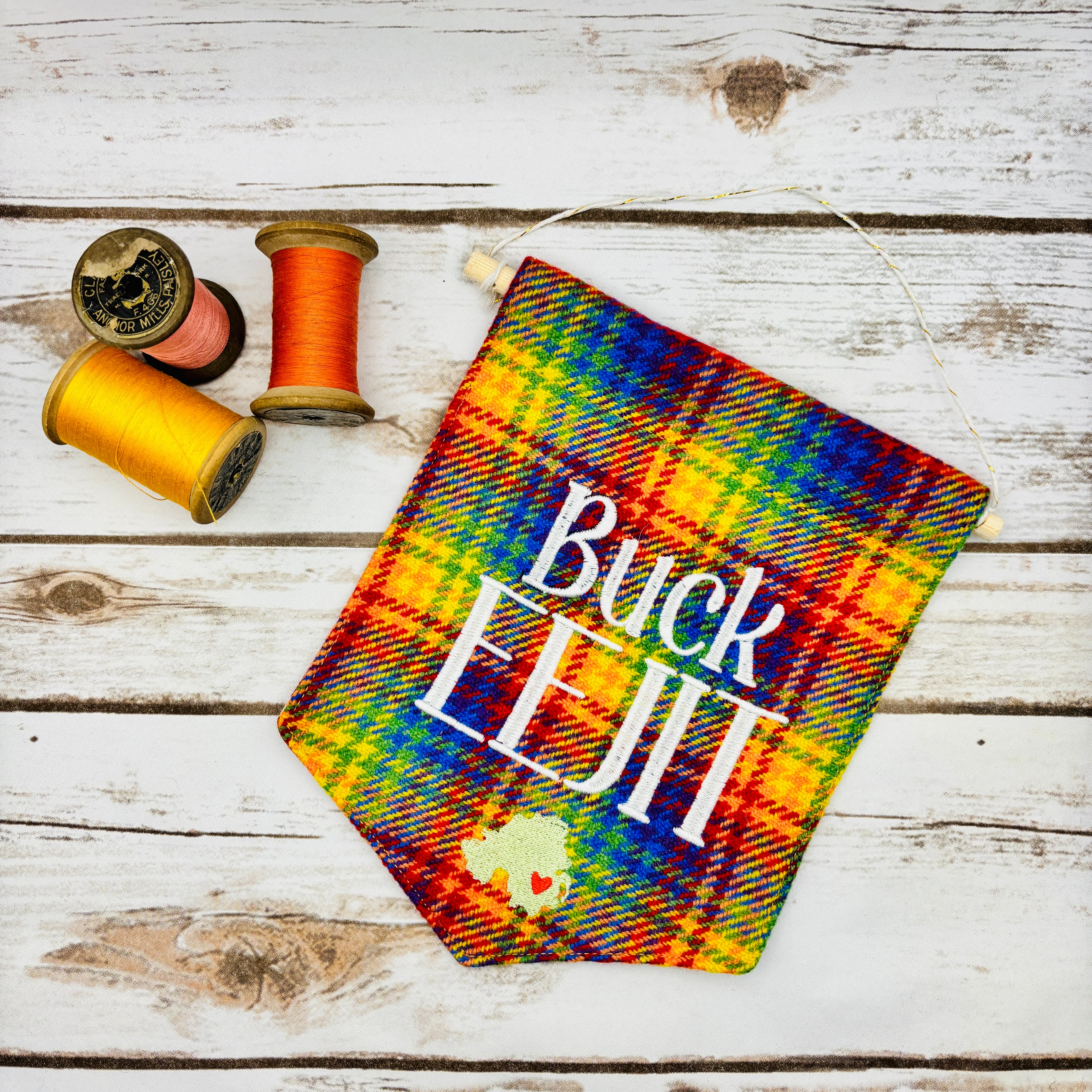 Buck Eejit - Pennant Wall Hanging