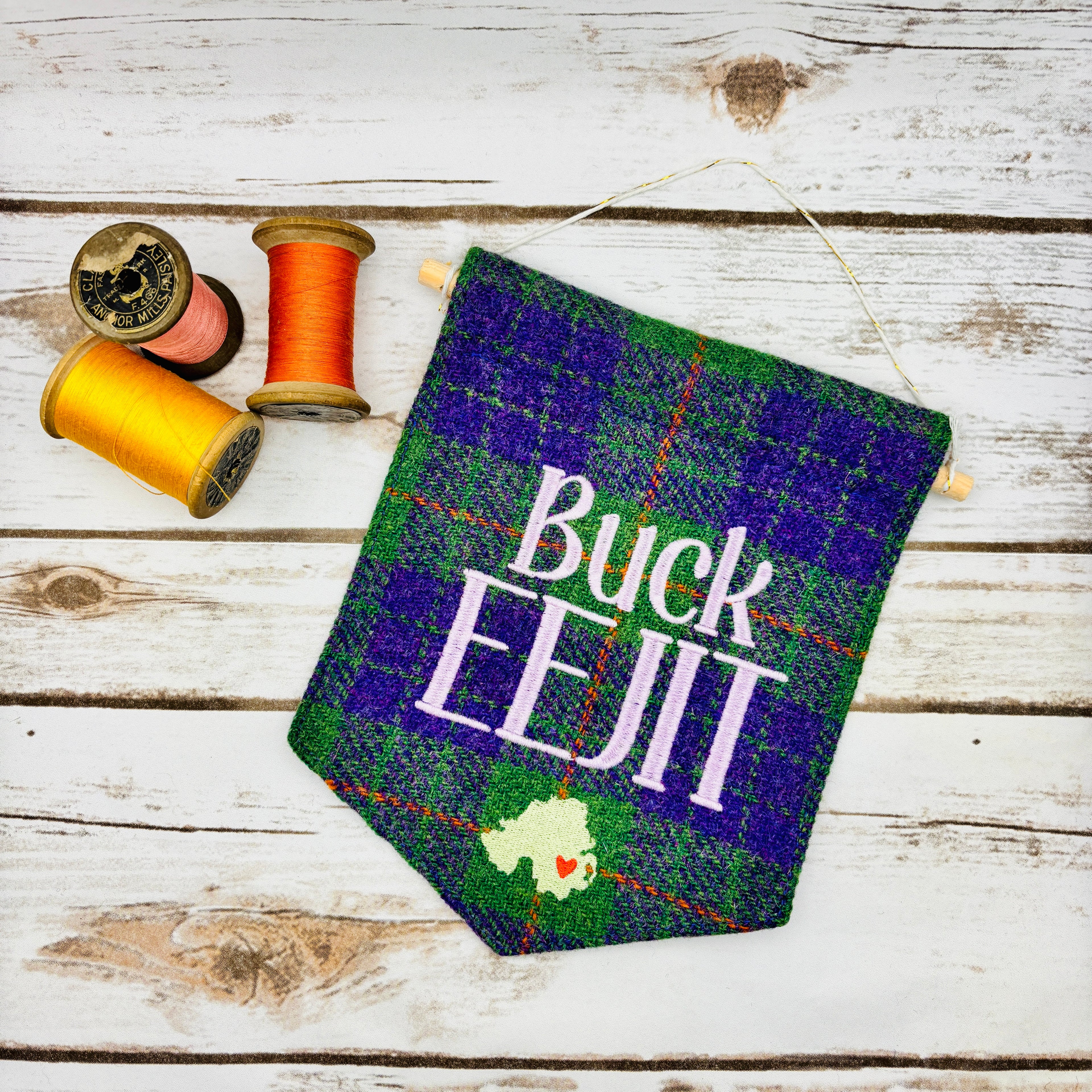 Buck Eejit - Pennant Wall Hanging