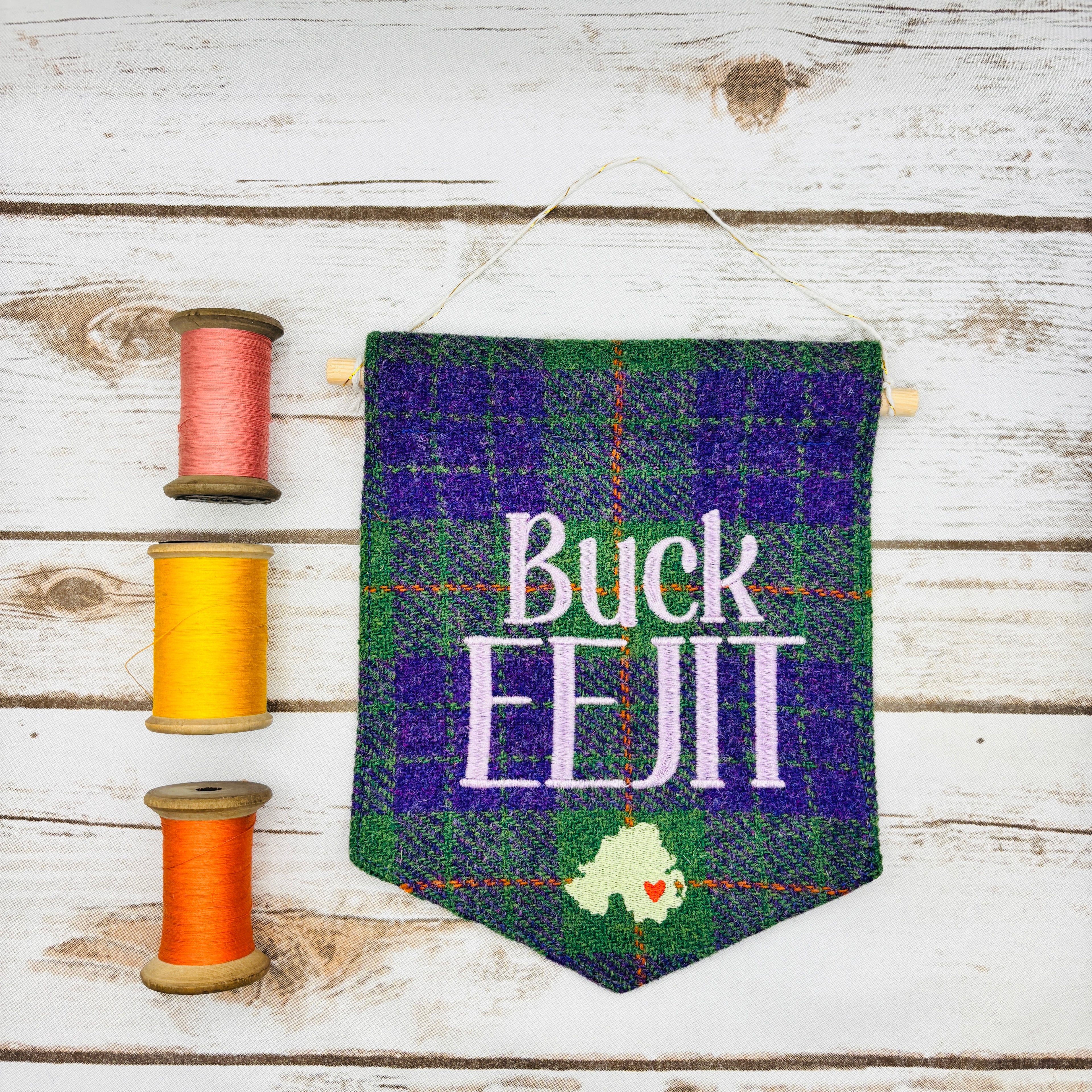 Buck Eejit - Pennant Wall Hanging