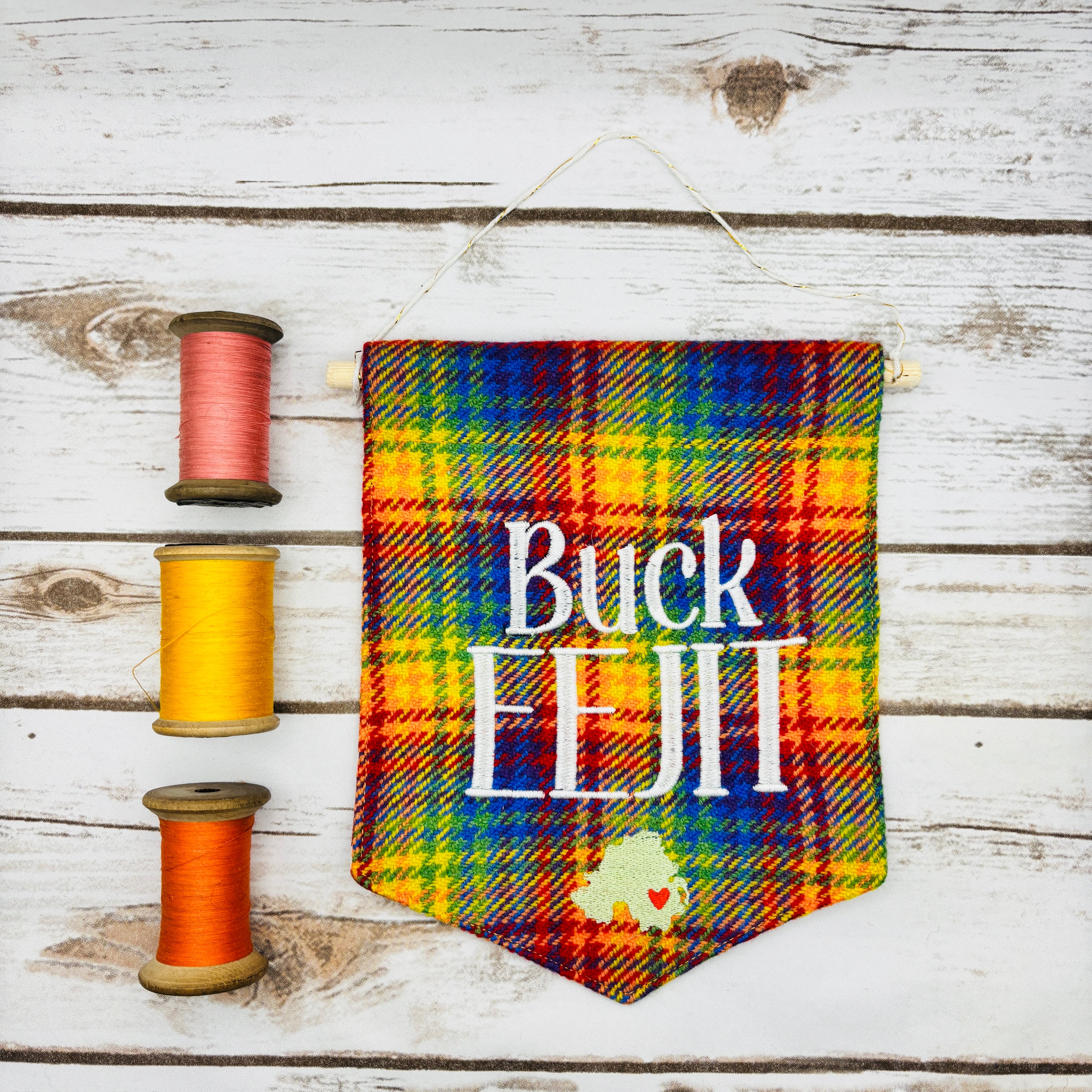 Buck Eejit - Pennant Wall Hanging