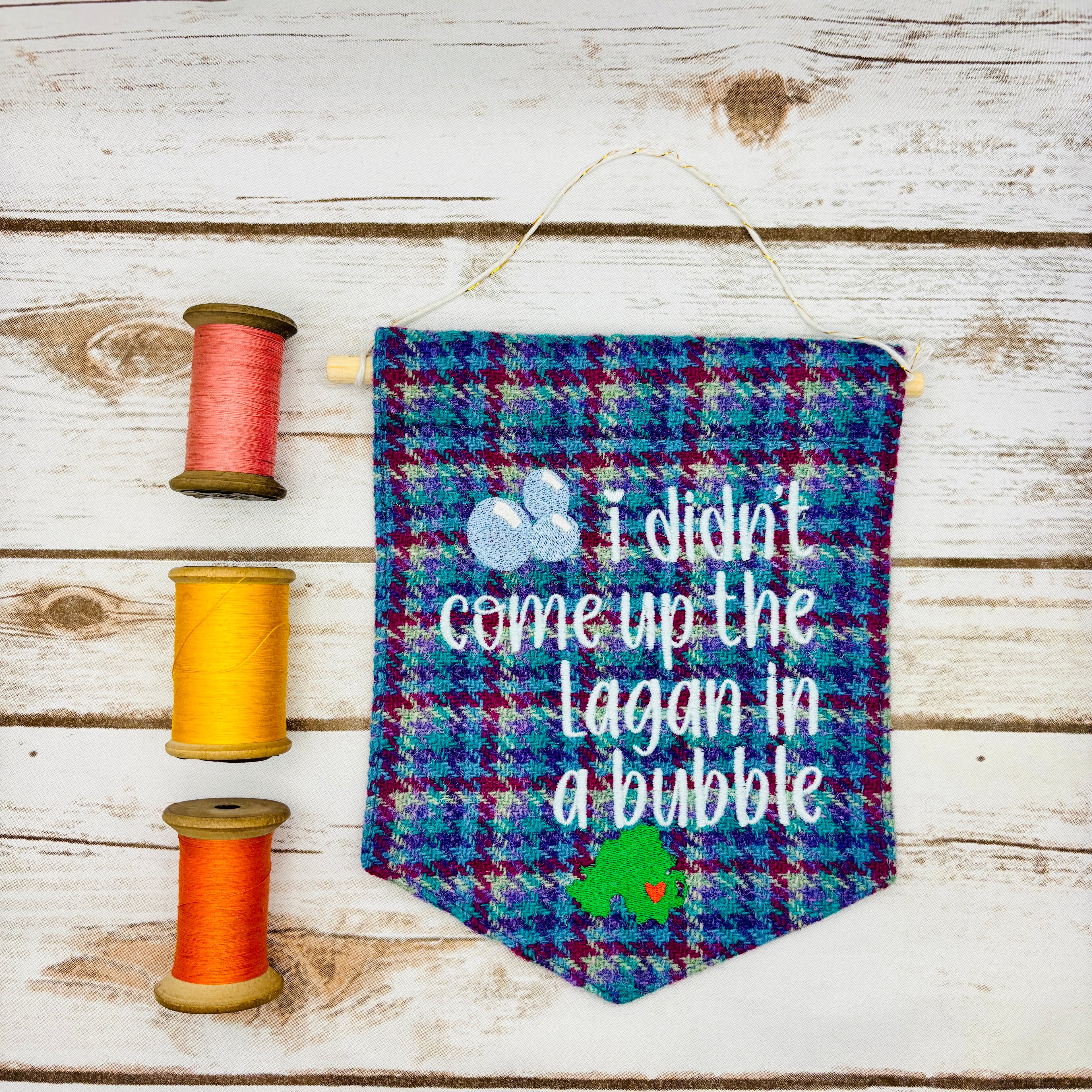 I didn't come up the Lagan in a bubble - Pennant Wall Hanging