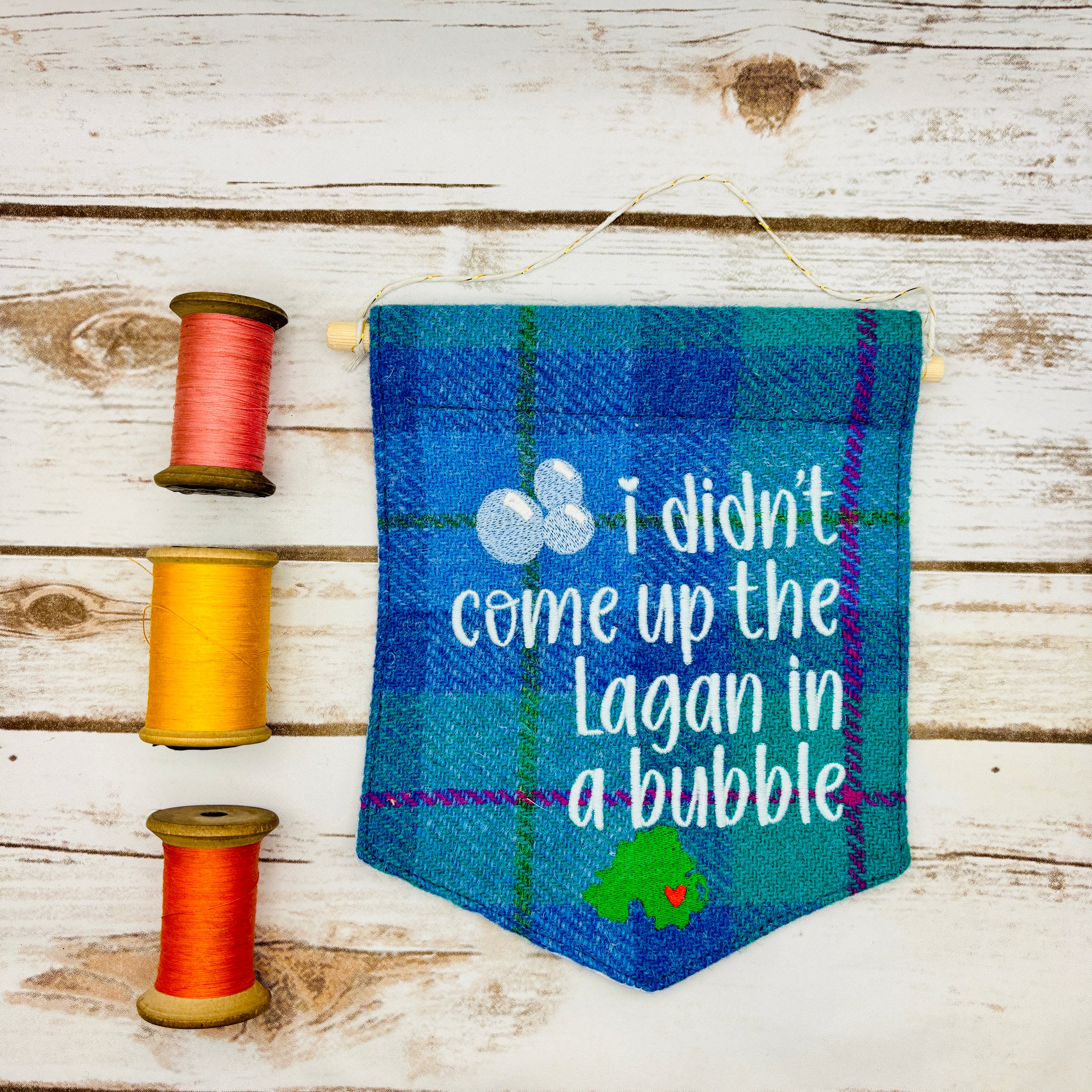 I didn't come up the Lagan in a bubble - Pennant Wall Hanging