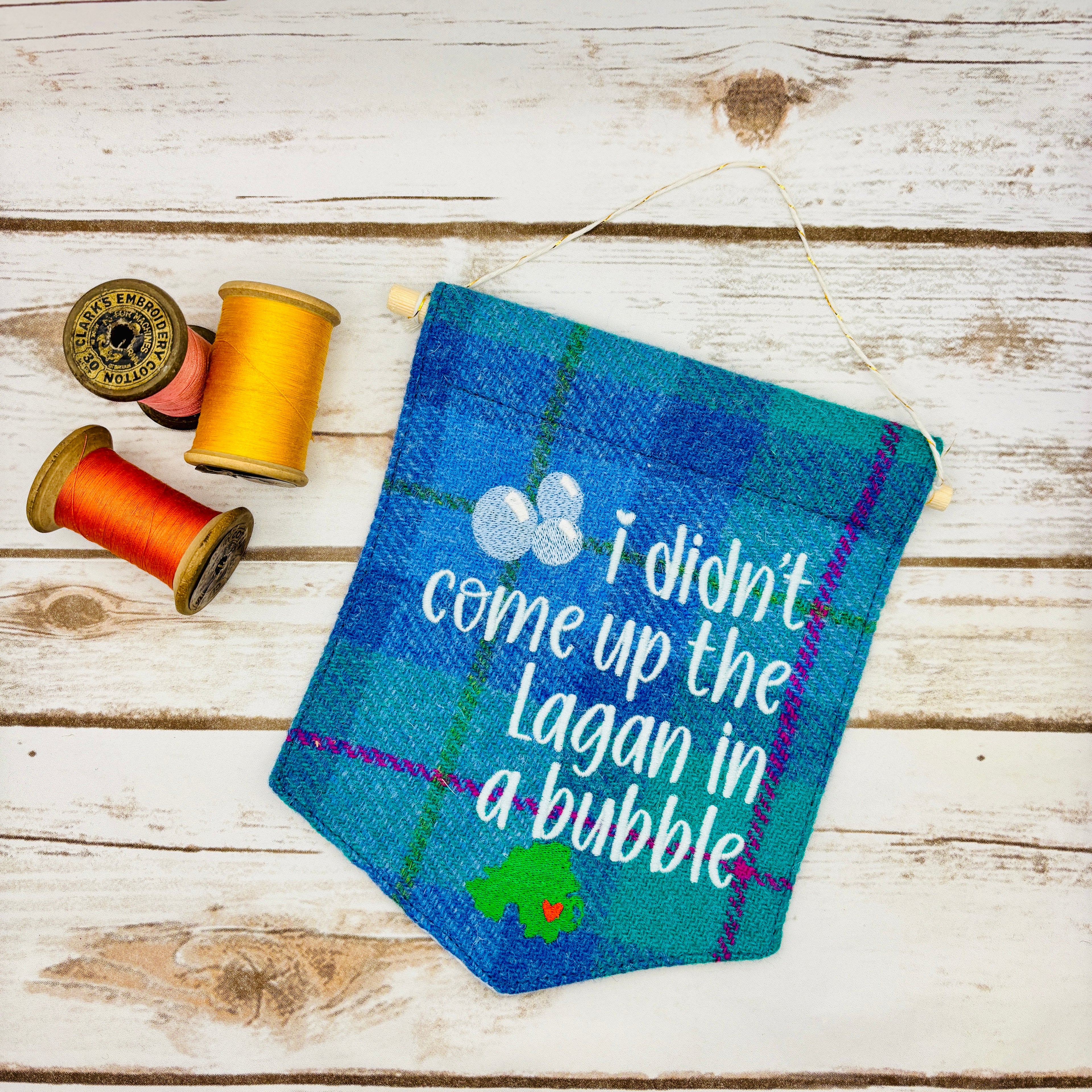 I didn't come up the Lagan in a bubble - Pennant Wall Hanging