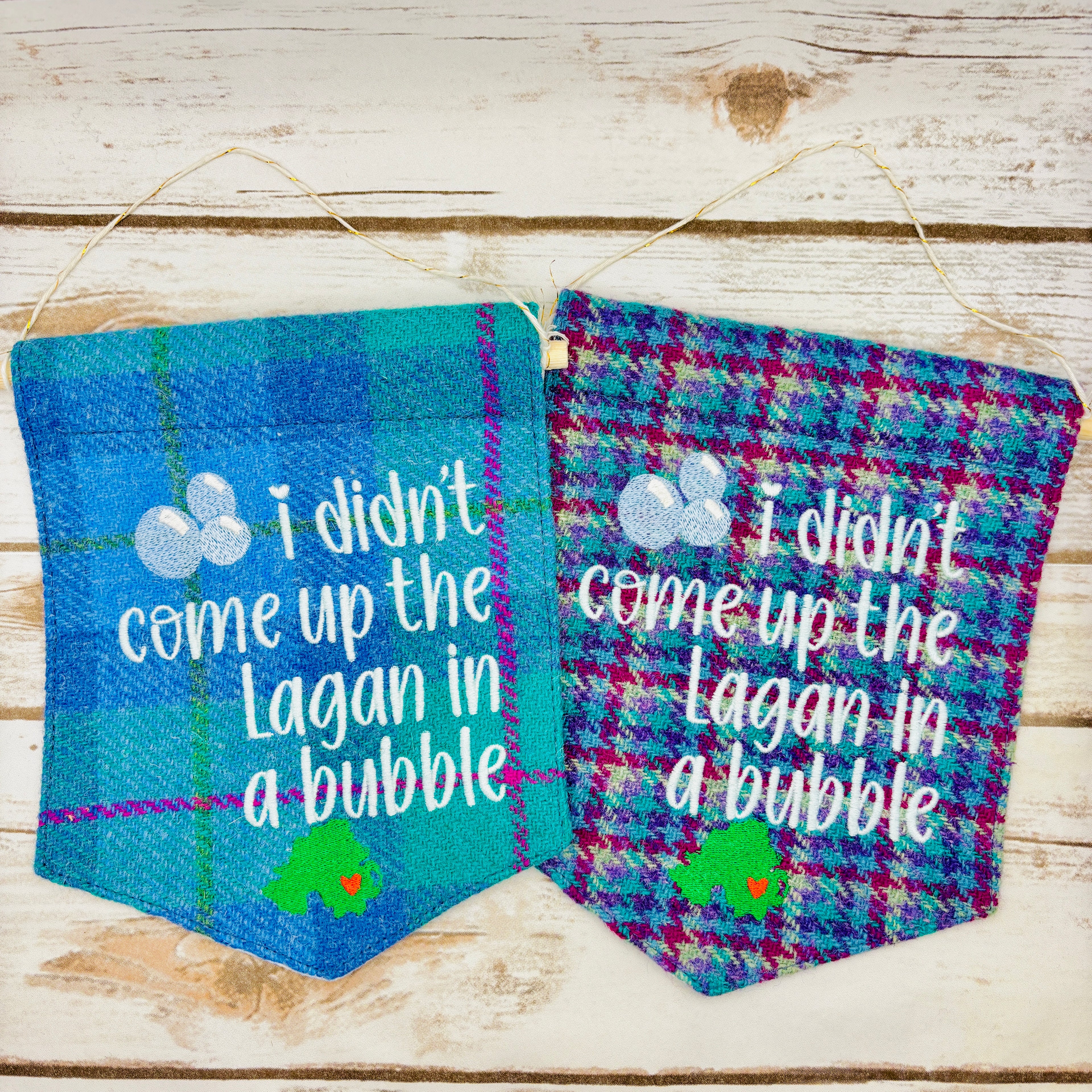 I didn't come up the Lagan in a bubble - Pennant Wall Hanging